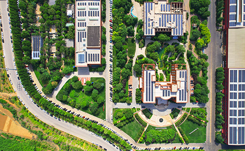 【Sustainable Development】Environmental Protection as the Lifeline